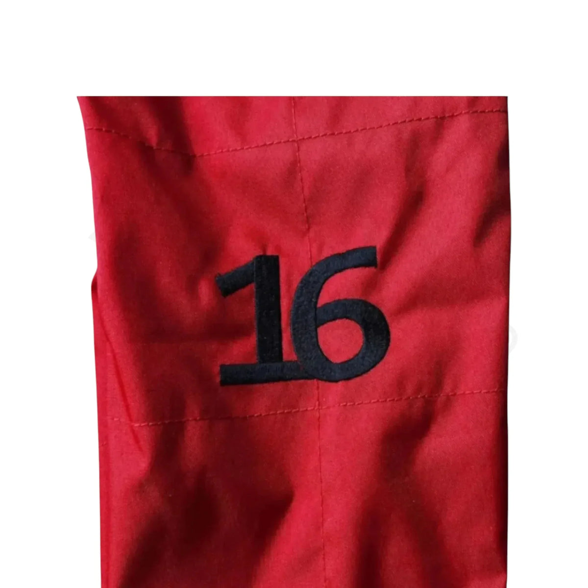 Charles Leclerc 2022 Scuderia Ferrari F1 Embroidery Race Suit
